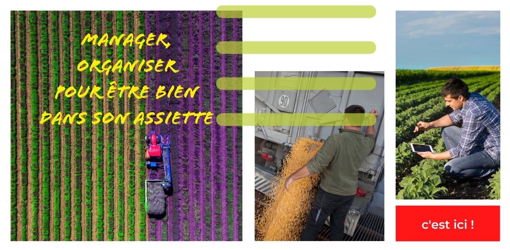 MANAGER, ORGANISER POUR ÊTRE BIEN DANS SON ASSIETTE