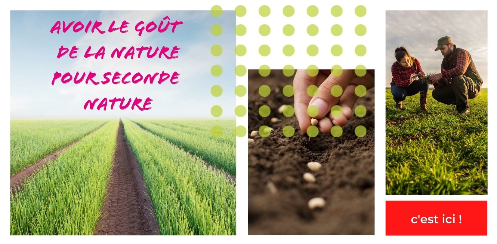AVOIR LE GOÛT DE LA NATURE POUR SECONDE NATURE