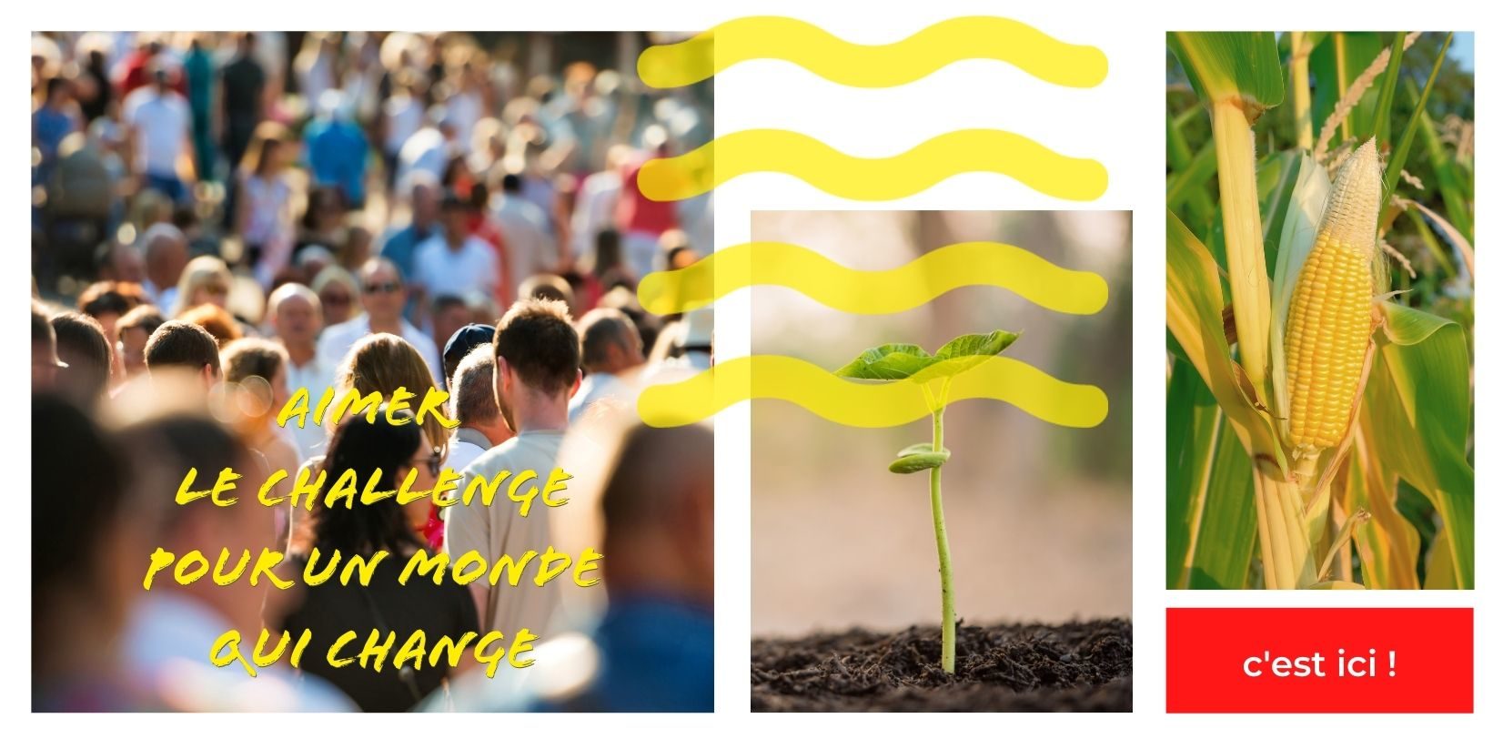 AIMER LE CHALLENGE POUR UN MONDE QUI CHANGE