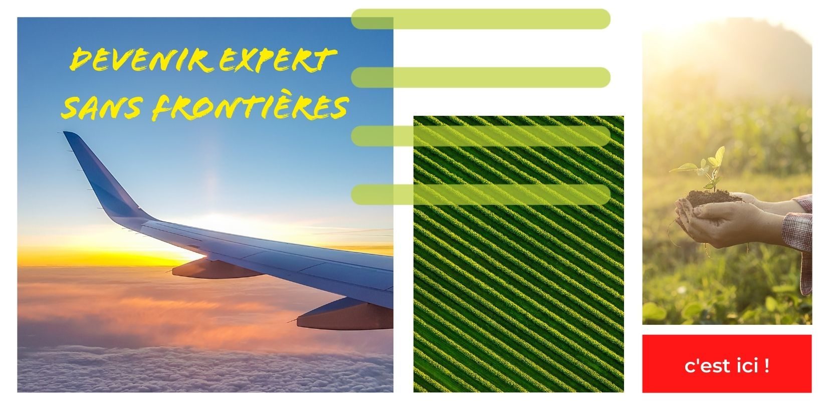 DEVENIR EXPERT SANS FRONTIÈRES
