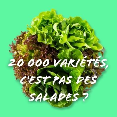 DEVENIR EXPERT SANS FRONTIÈRES