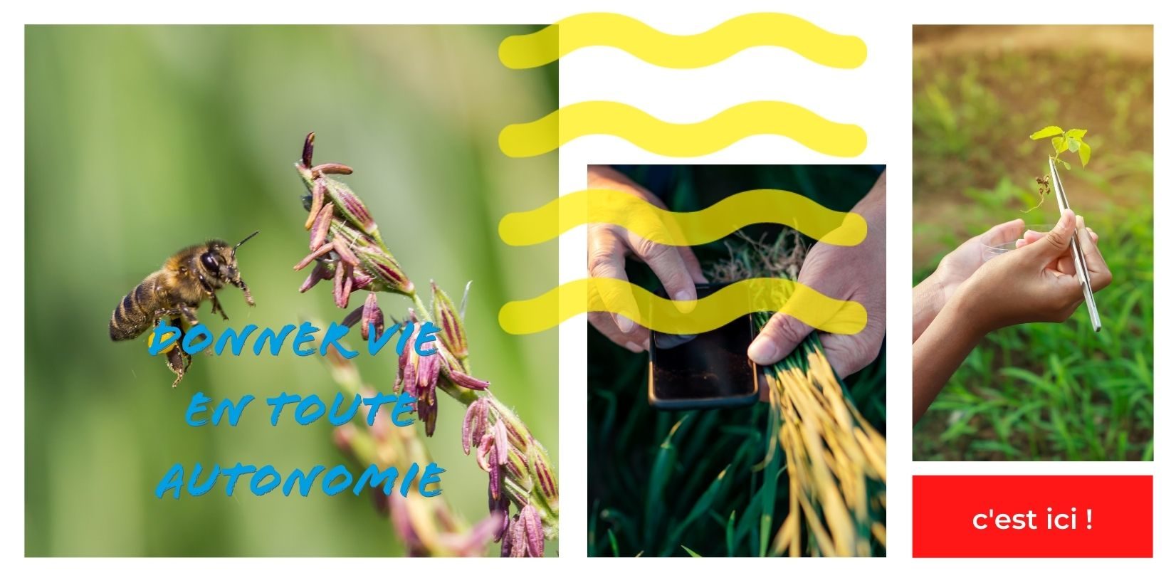 DONNER VIE EN TOUTE AUTONOMIE